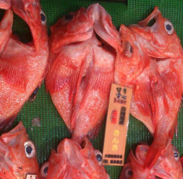 【北海道・青森県産】きんき 煮付け・塩焼き 絶品です☆