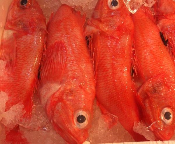 【北海道・青森県産】きんき 煮付け・塩焼き 絶品です☆