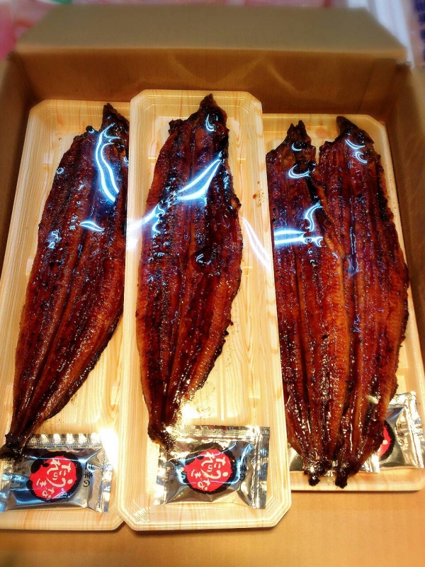 国内産】朝焼きうなぎ 夏バテ防止に★