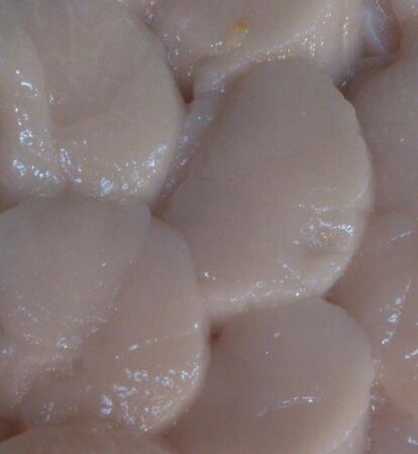 ����γ���ۥۥ��Ƴ��졡���ɿȡ��Х����Ƥ��ˡ���