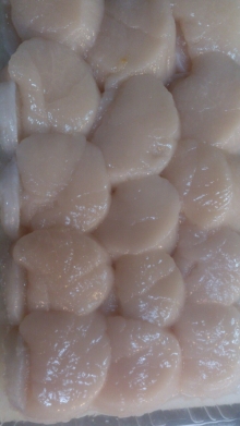 ����γ���ۥۥ��Ƴ��졡���ɿȡ��Х����Ƥ��ˡ���