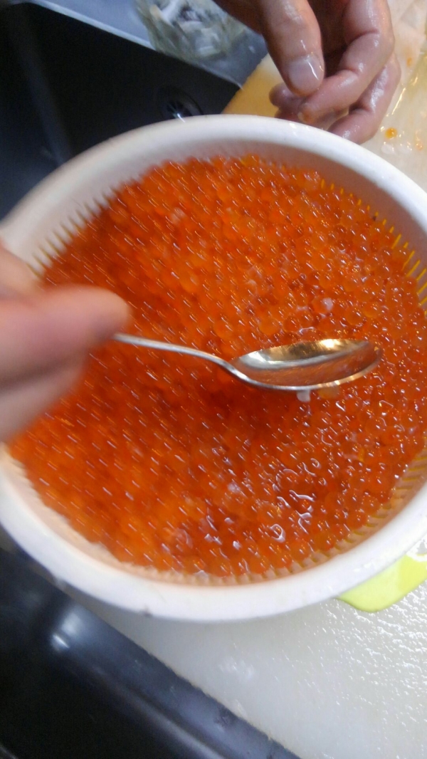 ̳ƻ ץץäפ꿩٤