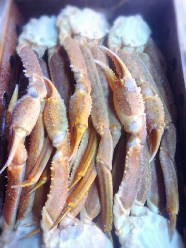 【送料無料!!】冷凍ズワイガニ 贅沢かにしゃぶしよう♪♪