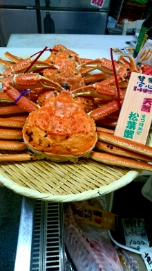 ڱ۳褺襤 (դ) ǹ⡪̣ǹ⡪
