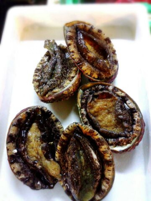 【三陸産】活けあわび 特上品☆今が旬です!