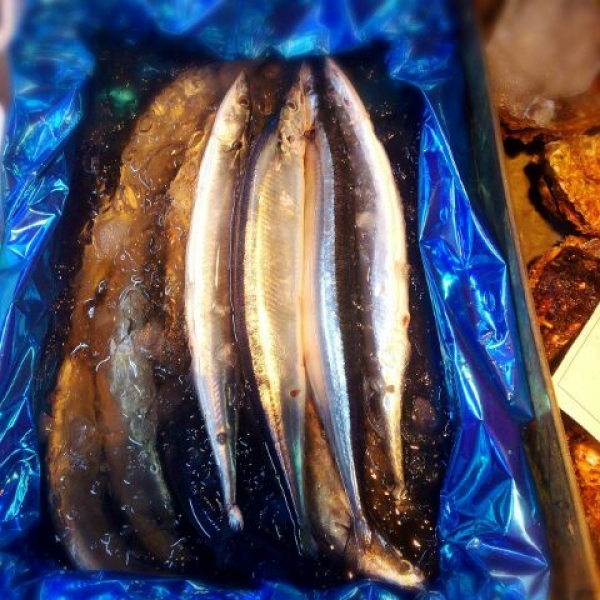 【北海道産】新さんま 来ました!さんまの季節です☆