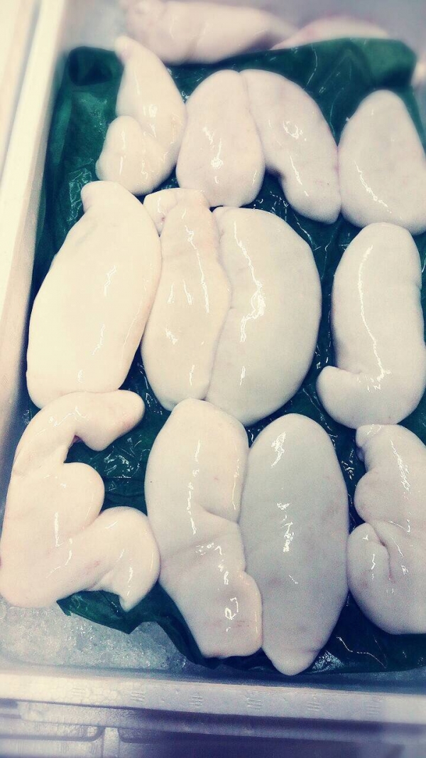 【淡路産】とらふぐの白子 送料無料!お早めに!