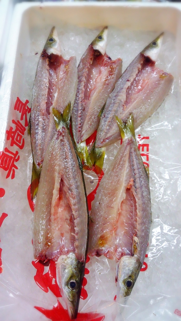 カマス一夜干し