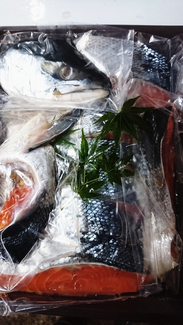 本紅鮭旨いですよ。