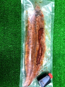 ���礦�ʤ�