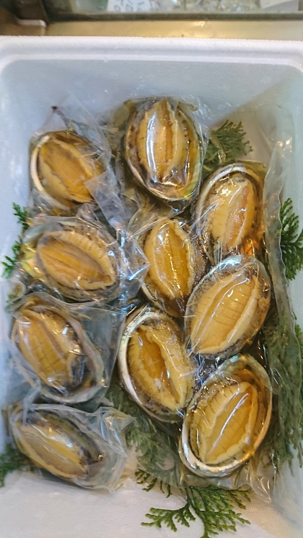 �դ�������Ӥ���󡦡����褱�����ʡ�ѤǤ�